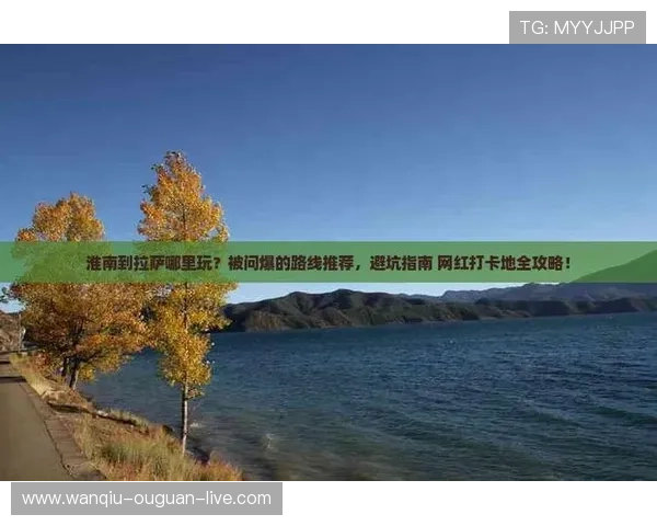 玩球直播足球平台对比避坑指南防封推荐 玩球直播足球平台对比避坑指南防封推荐